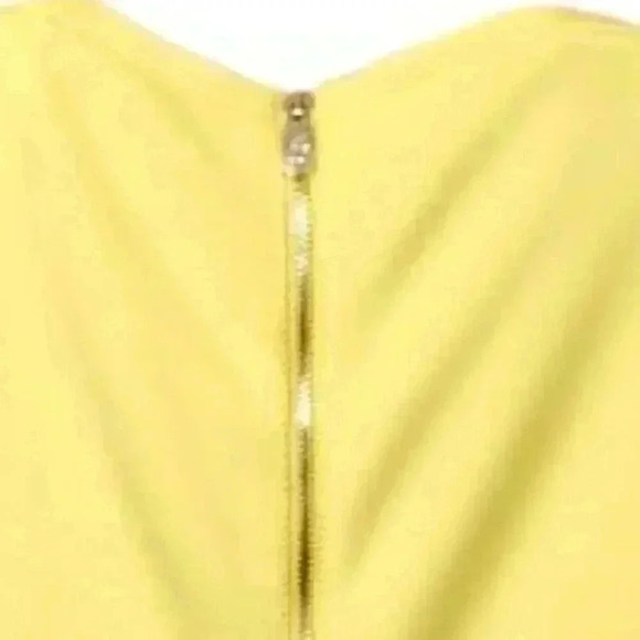 Ted Baker Fit and Flare Dress - Womens Elegant Fashion - Stylish Cocktail Attire - Picture 5 of 5